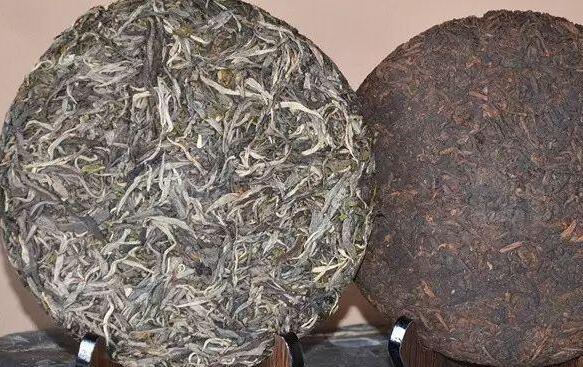 普洱生茶和熟茶哪个减肥效果好 生普洱茶和熟普洱茶哪个减肥效果好