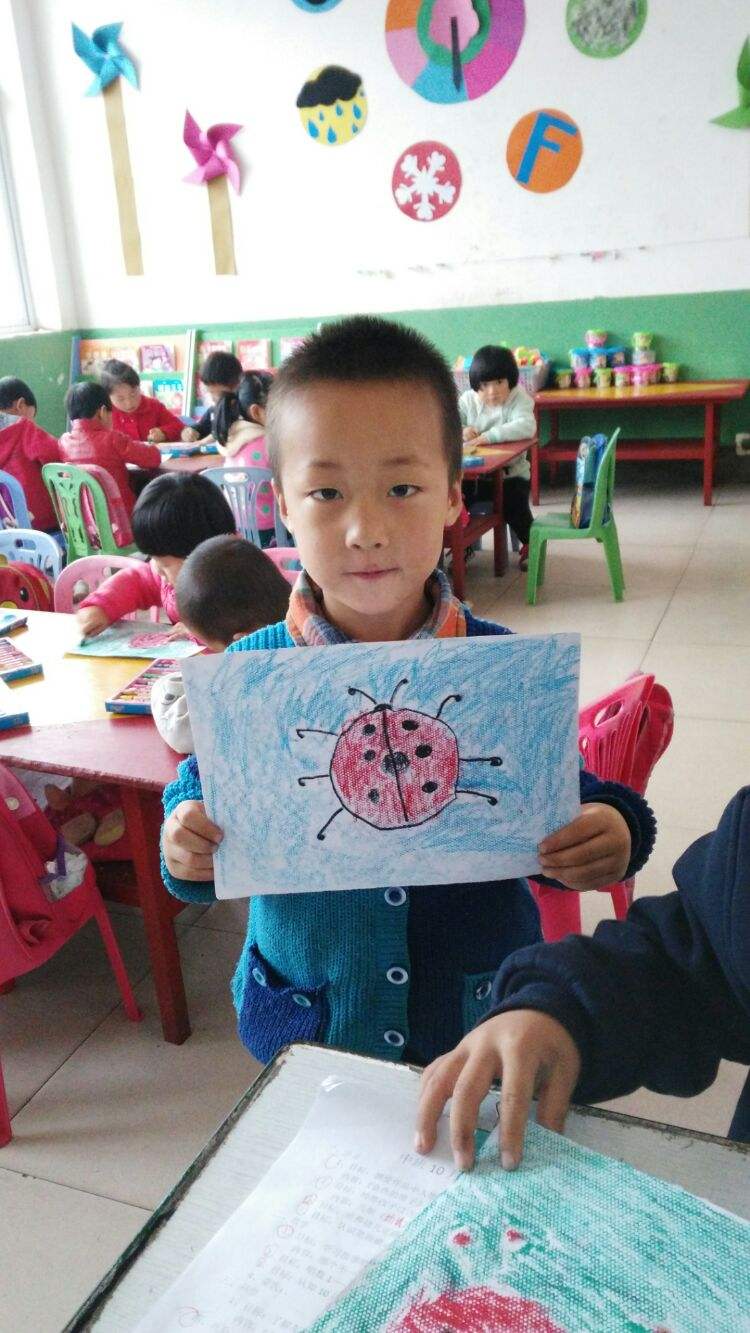 中班美术七星瓢虫教案 七星瓢虫美术课教案小班