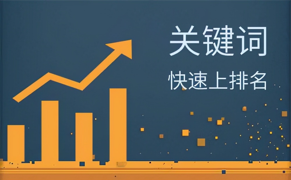 泰州网站提高权重 泰州网站快速排名提升