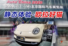 欧拉好猫汽车那里买 欧拉好猫汽车多少钱一辆