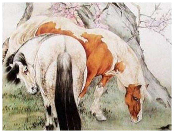 属马与属虎 属马与属虎合作怎么样
