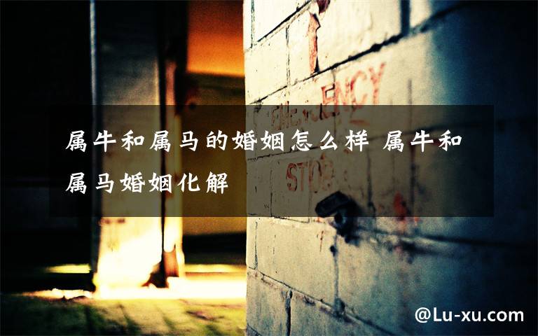 属马和属牛的 属马和属牛的在一起财运如何