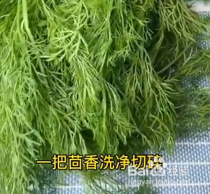 茴香水 茴香水饺怎么调馅