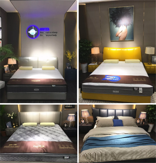 真康福健康床垫 真康福健康床垫能治病吗