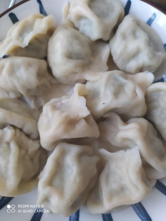 野小蒜水饺做法大全 野小蒜水饺做法大全窍门