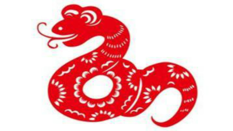 属蛇有哪些年份 属蛇有哪些年份出生