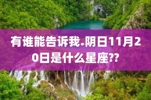 11月23是什么星座 11月23日是什么星座女生