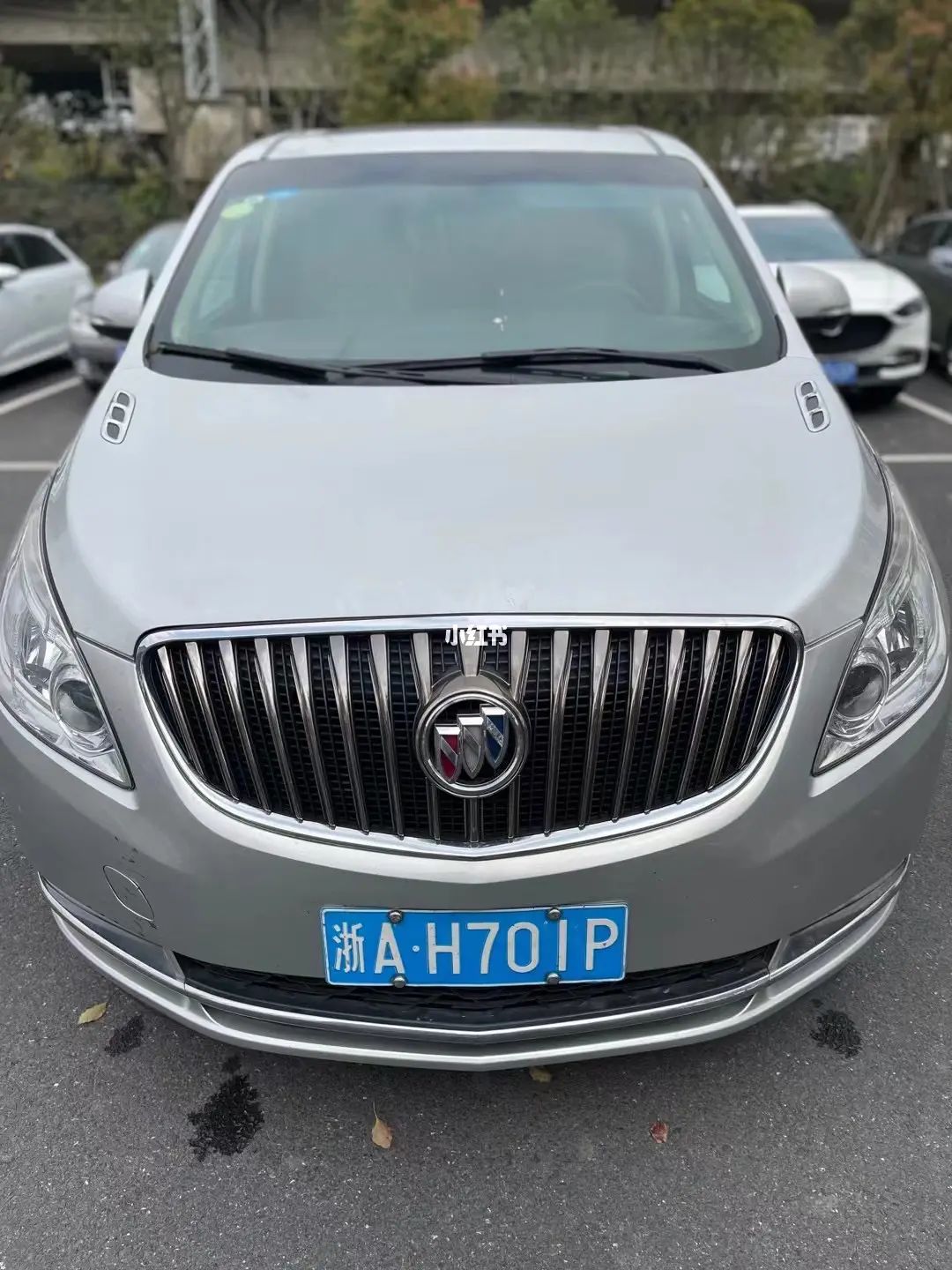 桃源居别克gl8保姆车 