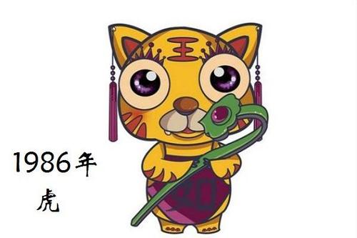 属老鼠和属虎的好不好 属老鼠的与属老虎的适合吗