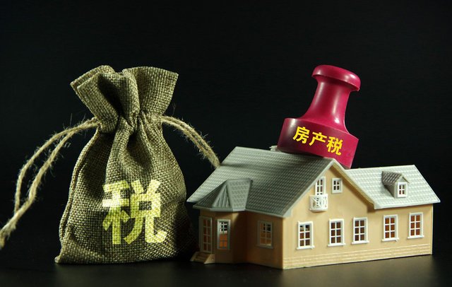 房地产税领域专家 房地产行业税收调研