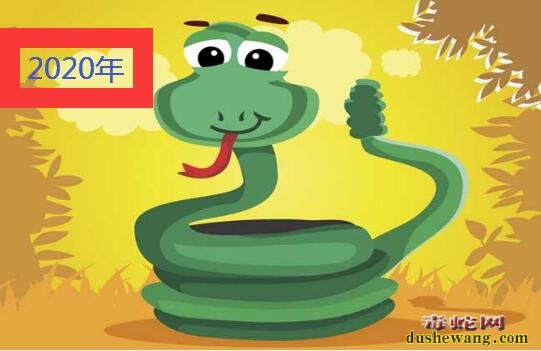 2020年属蛇的全年运势 2020年属蛇的全年运势及运程