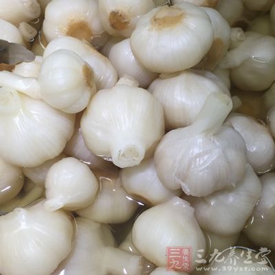 白醋大蒜白酒的作用吗 大蒜白醋加酒有什么功效和作用