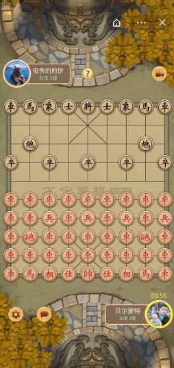 象棋将军 象棋将军规则