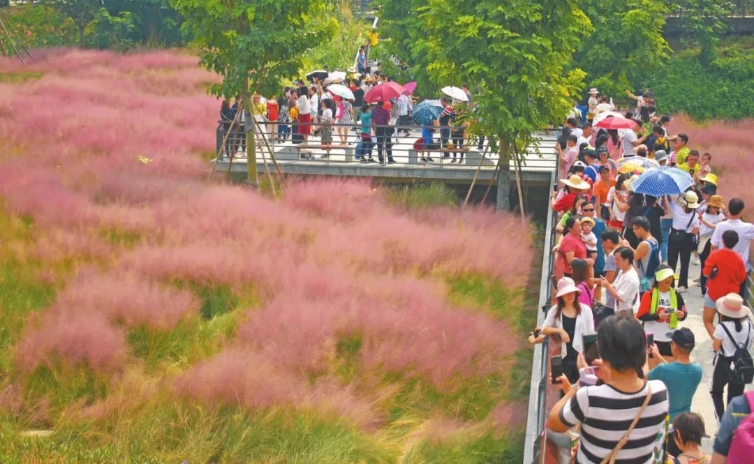 国庆去哪玩推荐中山 中山国庆哪里旅游好玩
