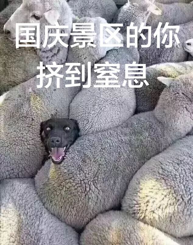 同事问你国庆去哪玩 