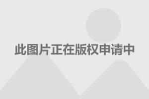 王陶设计师 设计师王陶出生年月
