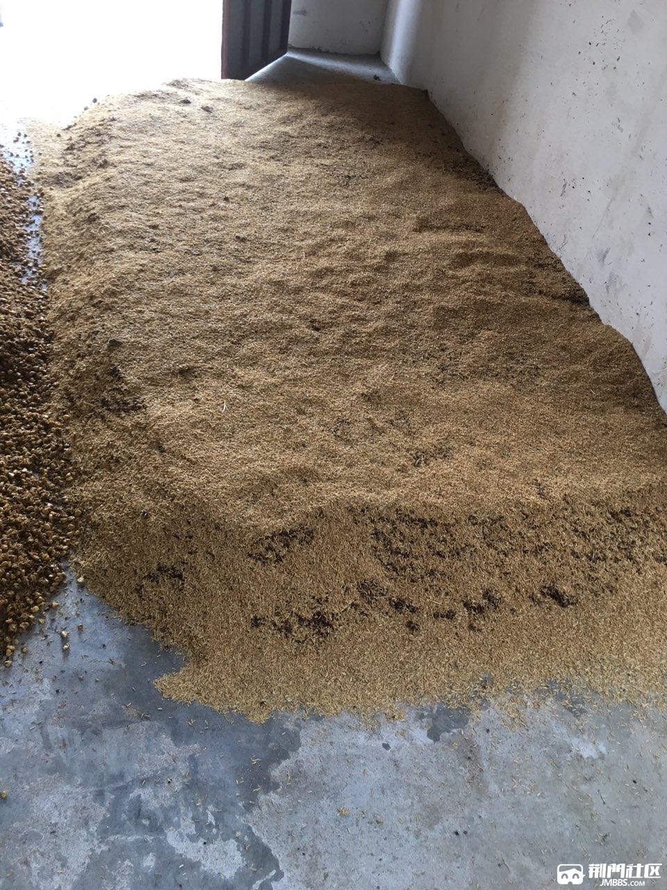 白酒糟能喂鸡吗 酒糟能喂鸡吗?怎么处理酒糟喂鸡效果更好