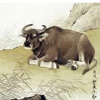 适合属牛的微信头像 适合属牛的微信头像 招财