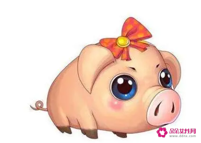 属猪这个月的运势如何 属猪的这个月的运势好不好