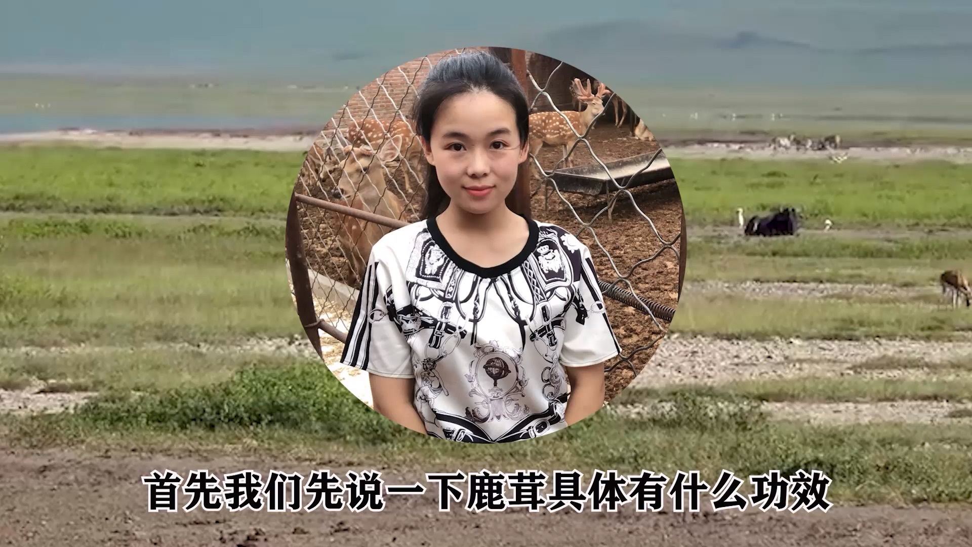 鹿茸精华素功效 鹿茸有激素成分吗