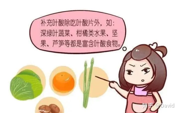 一天中吃叶酸最佳时间 一天中那个时间吃叶酸最好