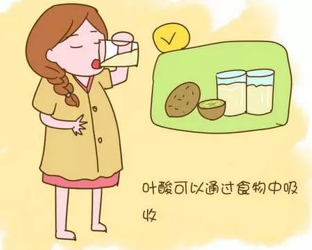 怀孕多久开始吃叶酸 怀孕多久开始吃叶酸比较好