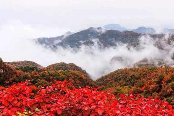 情侣国庆去哪玩山西 山西国庆去哪里玩比较合适