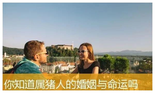 属猪的命运与婚姻 属猪的命运与婚姻状况