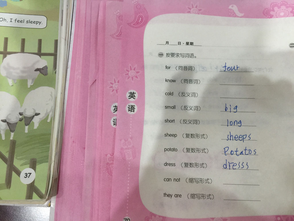 米粉的英语单词 米粉的英语单词怎么说