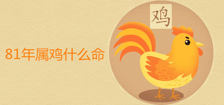 2o05年是属鸡的命运 