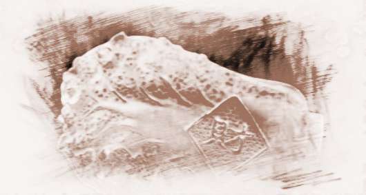 今期生肖土字头是兔吗 今日生肖土字头是什么意思