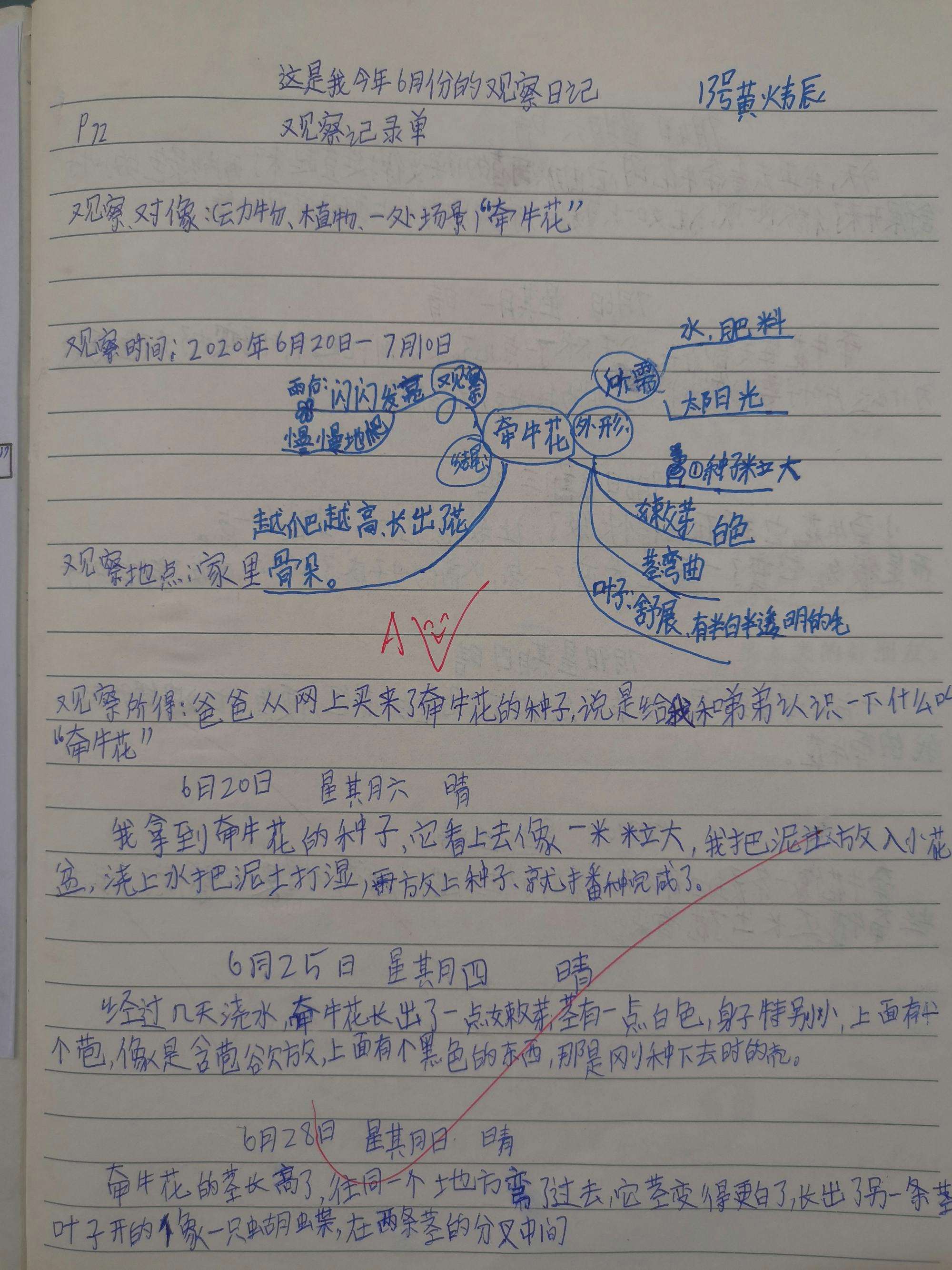 作文锦绣中华提纲怎么写 作文锦绣中华提纲怎么写三年级