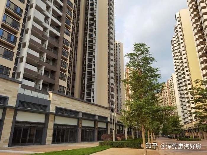知乎自住型商品房选房 知乎自住型商品房选房流程