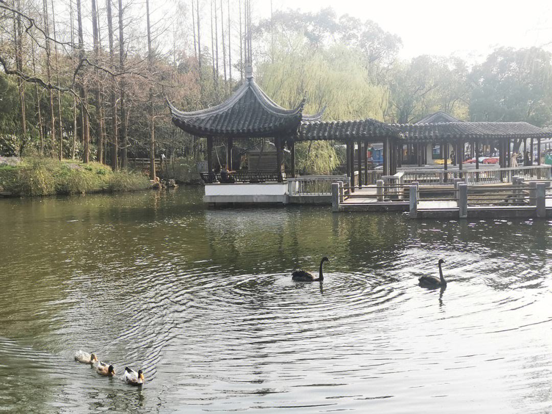 苏州旅游攻略东园景点图片 苏州旅游攻略东园景点图片高清