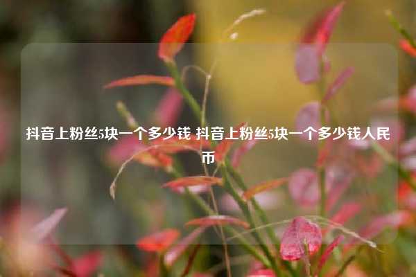 抖音上粉丝5块一个多少钱 抖音上粉丝5块一个多少钱人民币