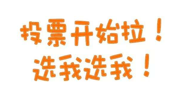 找人刷微信投票 微信投票帮刷投票多少钱