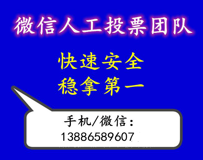 辽宁微信人工投票费用 人工微信投票价格是多少