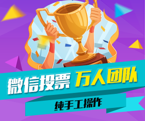 微信人工投票试用版 微信人工投票01元一票