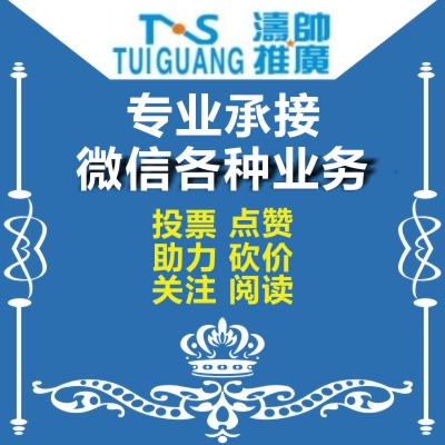 人工微信投票团队推荐 微信投票团队搜 – 光速网络工作室