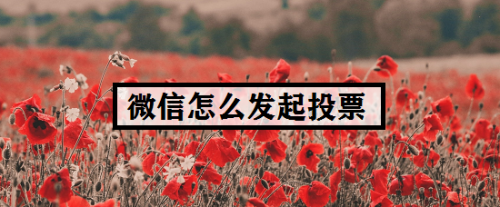 微信投票上传视频怎么弄 微信投票上传视频怎么弄出来