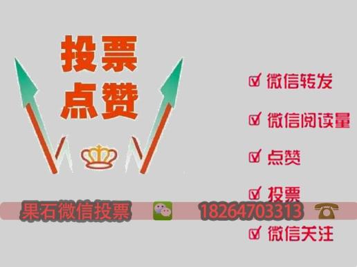 黑龙江微信人工投票团队 黑龙江微信人工投票团队有哪些
