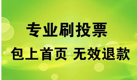 微信投票微信刷票人工投票 微信人工投票70元1000票