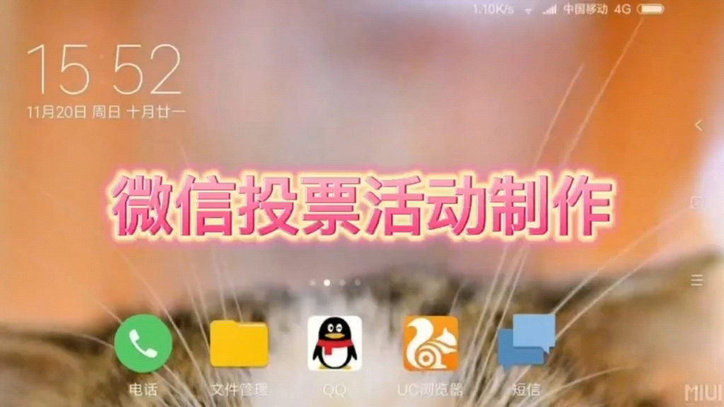 微信投票怎么制作代码 微信投票怎么制作代码的