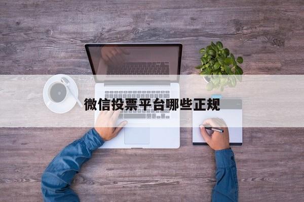 微信投票平台哪些正规