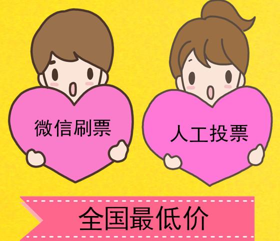 微信投票价格怎么样 微信投票价格最低多少钱