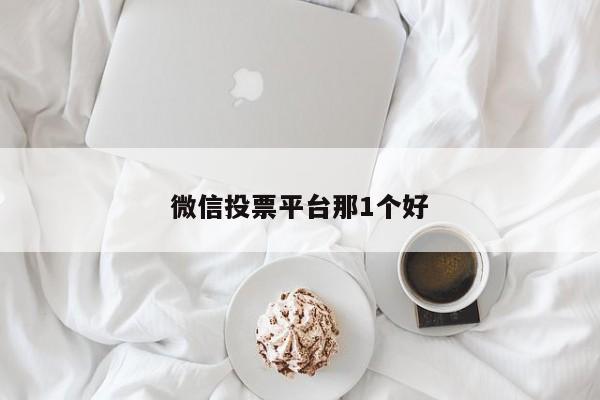 微信投票平台那1个好