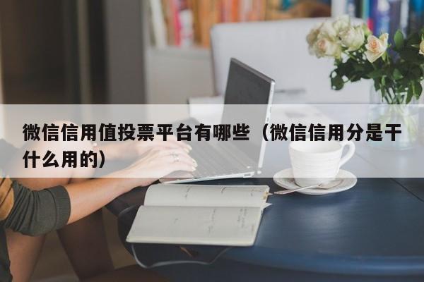 微信信用值投票平台有哪些(微信信用分是干什么用的)