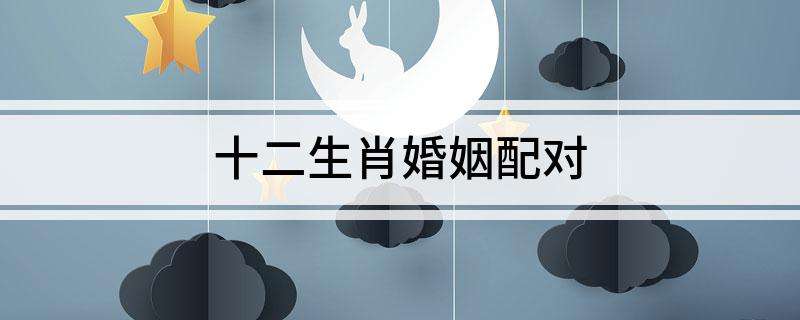 12生肖的婚姻配对最好 十二生肖婚姻配对哪几种最好