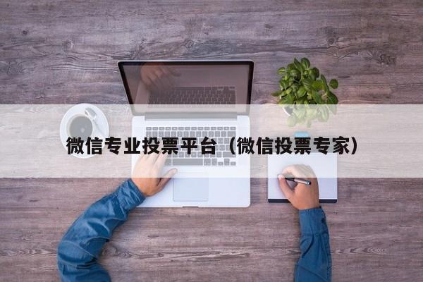 微信专业投票平台(微信投票专家)