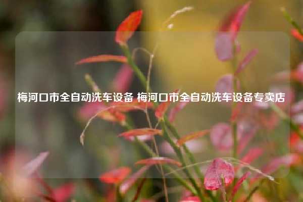 梅河口市全自动洗车设备 梅河口市全自动洗车设备专卖店